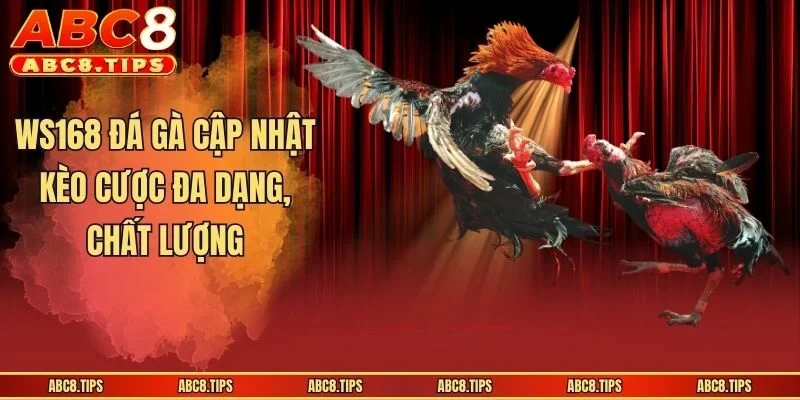 WS168 đá gà cập nhật kèo cược đa dạng, chất lượng